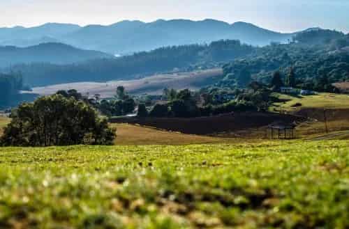 Ooty, Tamil Nadu